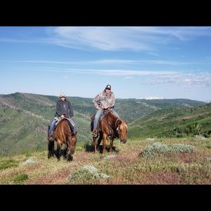 Meet your Posher, Jackson